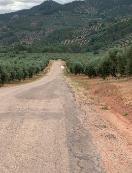 Estado de la JV-7056 entre Torres de Albanchez y Onsares