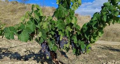 La Rioja