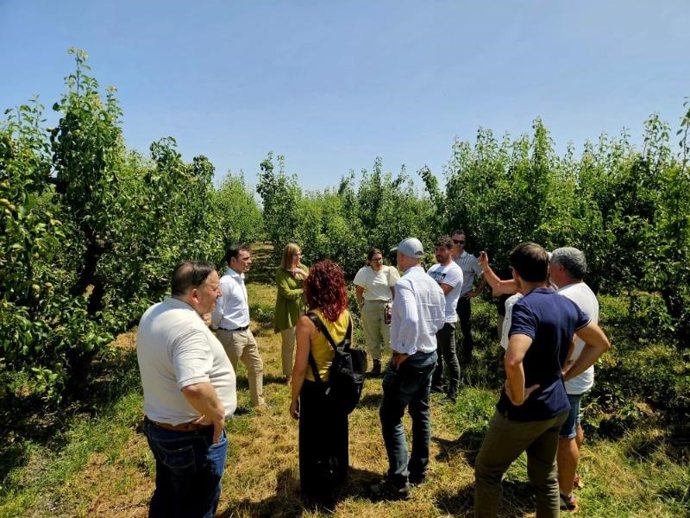 La consejera de Agricultura, Ganadería, Mundo Rural y Medio Ambiente, Noemí Manzanos, participa en una jornada técnica organizada en el marco de la mesa de trabajo frente al fuego bacteriano