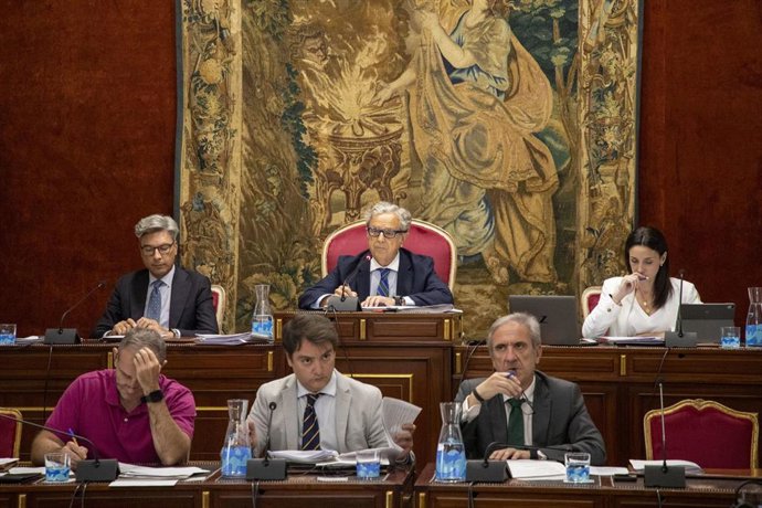 Salvador Fuentes (centro, arriba) preside el Pleno.