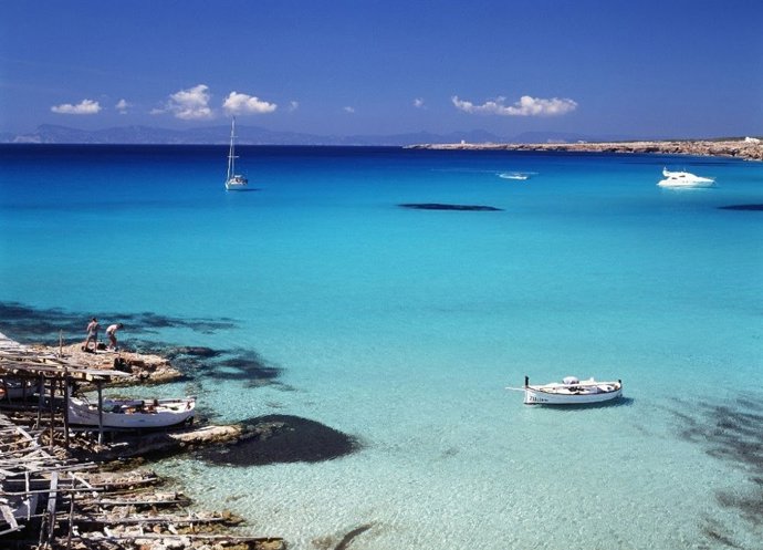 Bajo las aguas de Baleares: un recorrido por la biodiversidad marina del archipiélago