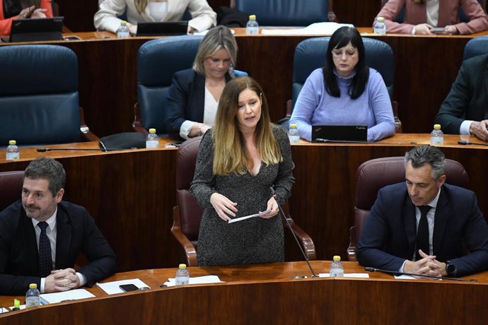 Archivo - La consejera de Familia, Juventud y Asunstos Sociales, Ana Dávila, interviene durante un pleno en la Asamblea de Madrid