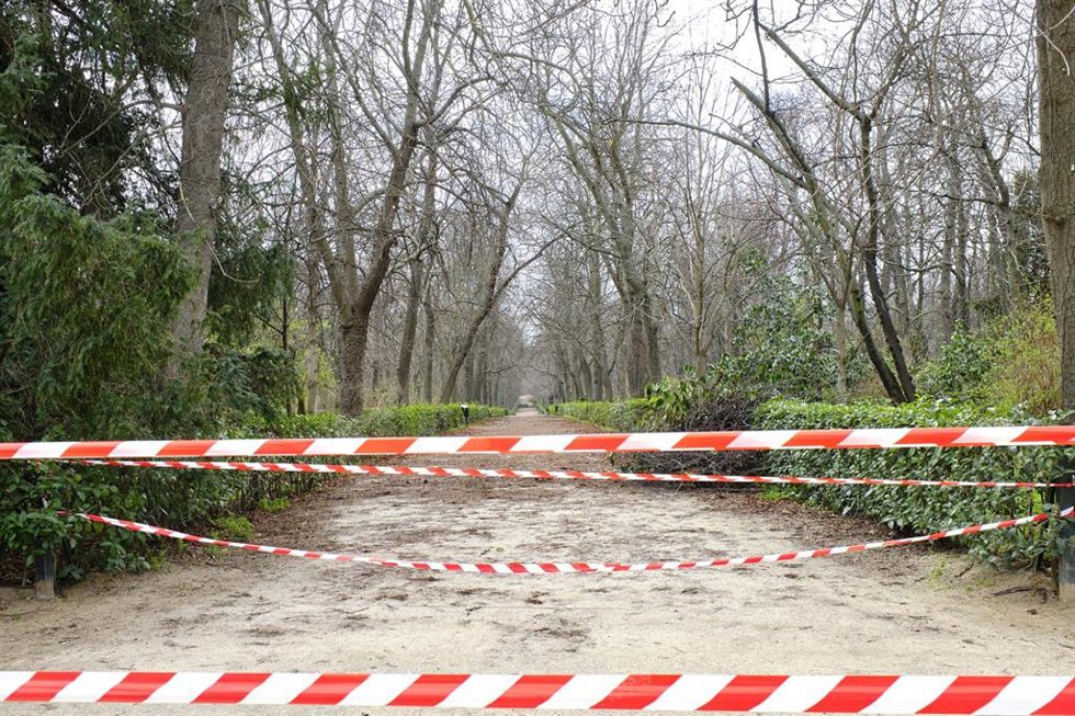 Archivo - Una zona cerrada aún al público en el parque de El Retiro