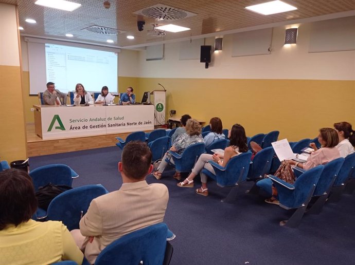 Reunión de la Comisión Interdisciplinar de Violencia de Género del Área de Gestión Sanitaria Norte de Jaén.