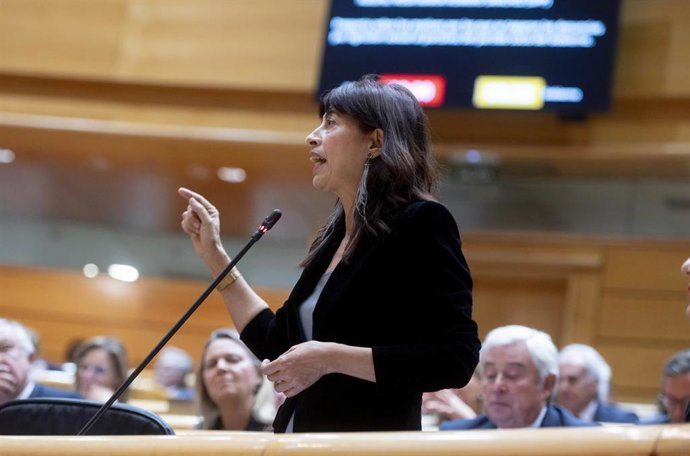 Archivo - La ministra de Igualdad, Ana Redondo, interviene durante una sesión de control al Gobierno, en el Senado, a 29 de octubre de 2024, en Madrid (España). 