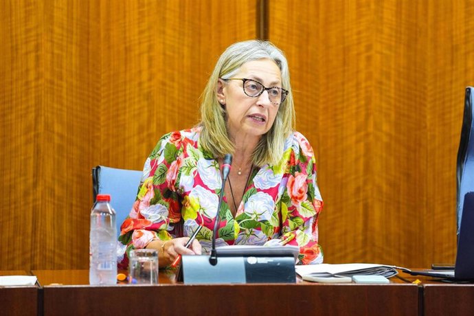La consejera de Salud y Consumo, Rocío Hernández, en la comisión parlamentaria del 18 de junio de 2025.