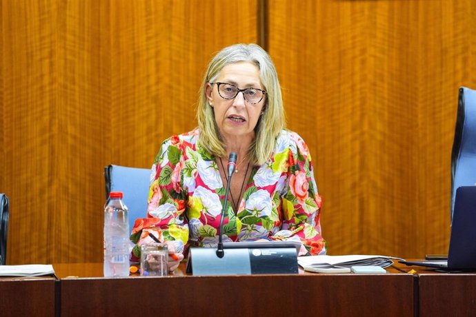 La consejera de Salud y Consumo de la Junta de Andalucía, Rocío Hernández, en comisión parlamentaria a fecha de 18 de junio de 2025.