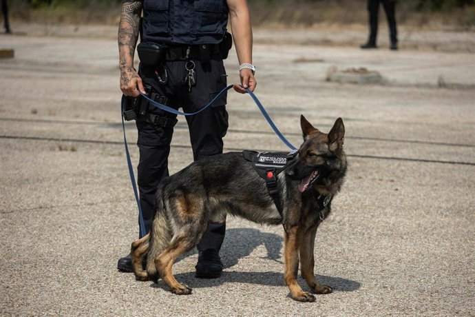Vídeo de la noticia