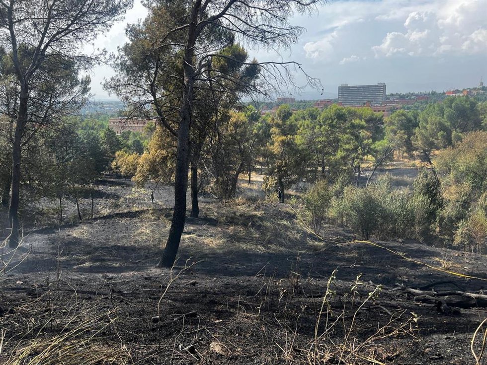 Un incendio de pasto tras el Hospital Clínico San Carlos calcina unas 2,5 hectáreas de vegetación