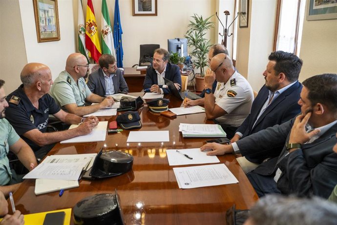 Junta local de seguridad en Mairena
