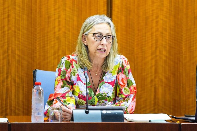 La consejera de Salud y Consumo, Rocío Hernández, en la comisión parlamentaria.