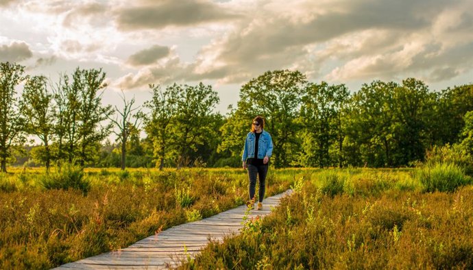 Credit BUas - Paul van Rijcke