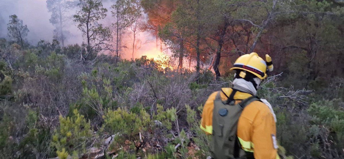 Efectivos adscritos al Plan Infomur apagan hasta 14 conatos de incendio forestal provocados por los rayos