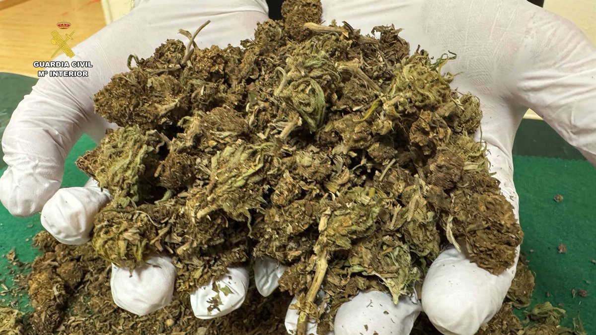 La Guardia Civil interviene 209 gramos de marihuana tras una riña en Arnedillo