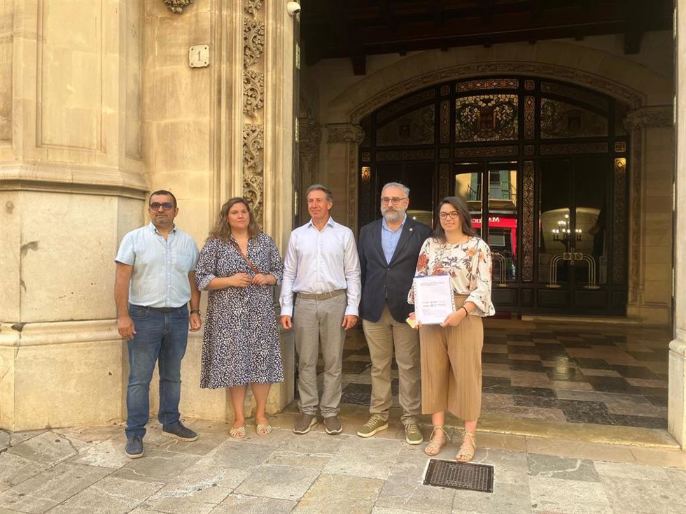 Representantes del sector de las renovables, este jueves frente al Consell de Mallorca.