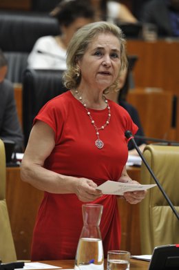 La consejera de Educación, María Mercedes Vaquera, en el pleno de la Asamblea