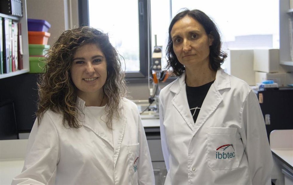 (De Izq. A Dcha): Las Investigadoras Júlia Senserrich Y Fuencisa Pilr Cuéllar En Su Laboratorio Del IBBTEC