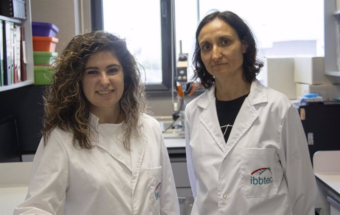 (De Izq. A Dcha): Las Investigadoras Júlia Senserrich Y Fuencisa Pilr Cuéllar En Su Laboratorio Del IBBTEC