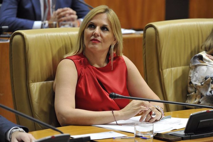 La consejera de Hacienda y Administración Pública, Elena Manzano, en el pleno de la Asamblea