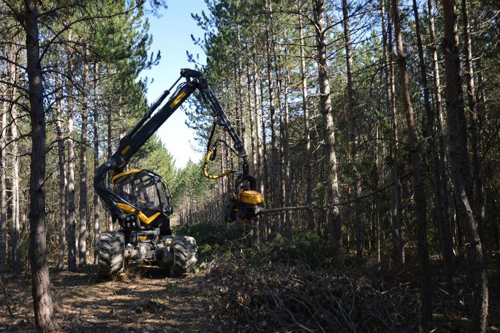 Imagen de recurso de maquinaria forestal.