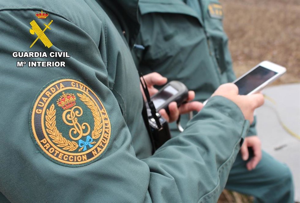 A disposición judicial en Burgos el dueño de un perro por matar a un pavo real propiedad de un vecino.