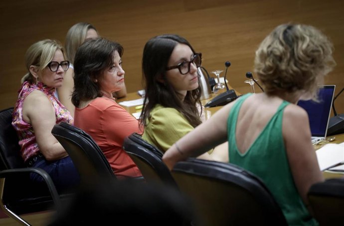 Comissio de Politiques d'Igualtat de Gènere i del Col·lectiu LG