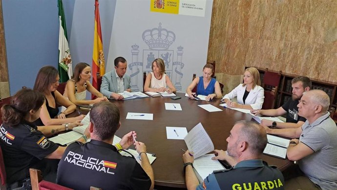 Comisión del Plan Director en Almería al cierre del curso 2024/2025