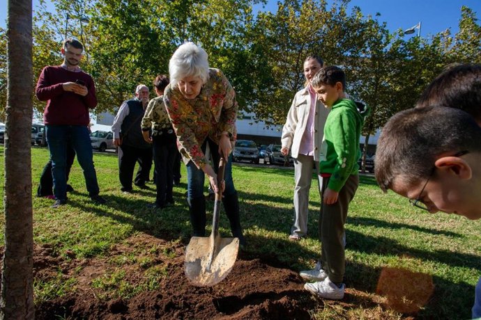 El Ayuntamiento de Alcalá instalará cinco medidores de calidad de aire para proteger la salud de los vecinos.
