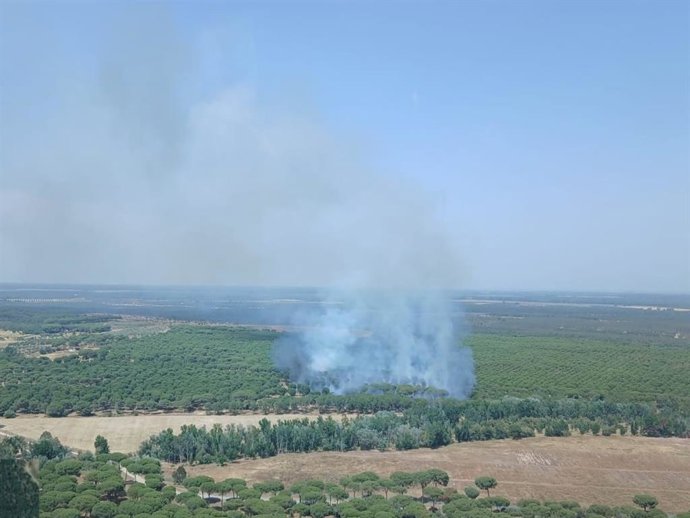 Incendio declarado en el paraje Camino del Cabezo Gordo de Almonte (Huelva).