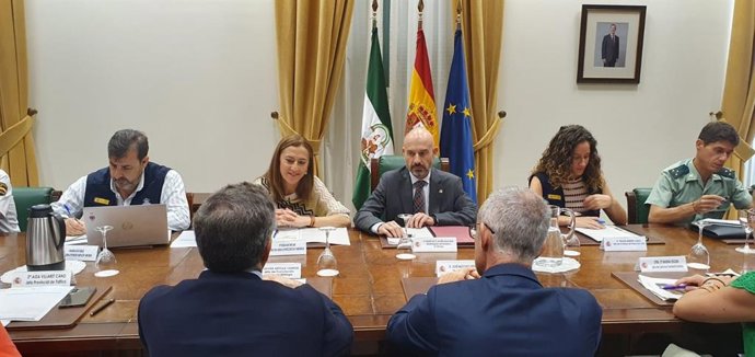 La directora general de Protección Civil y Emergencias del Ministerio del Interior, Virginia Barcones, ha participado en la reunión del Comité Provincial de Dirección de la OPE 2025, que ha tenido lugar en Málaga