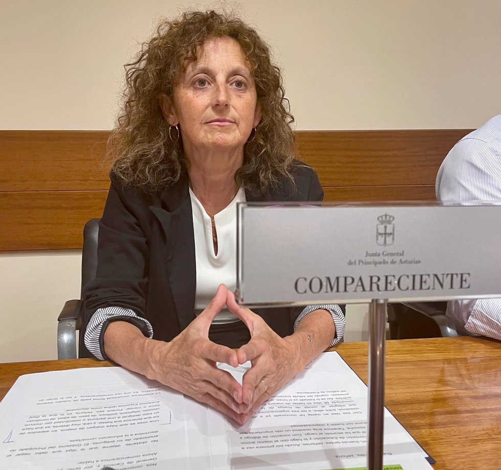 La consejera de Educación, Eva Ledo, durante su intervención en la Junta General.