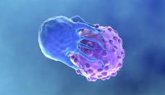 Foto: Nanopartículas dirigidas permiten producir células CAR-T de forma segura dentro del organismo