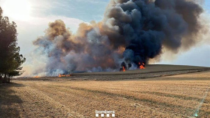 Controlat l'incendi en un camp de cereals d'Oliola (Lleida)