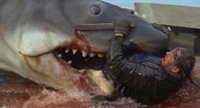 50 años de Tiburón de Spielberg: 50 cosas que (quizá) no sabías del primer blockbuster de verano