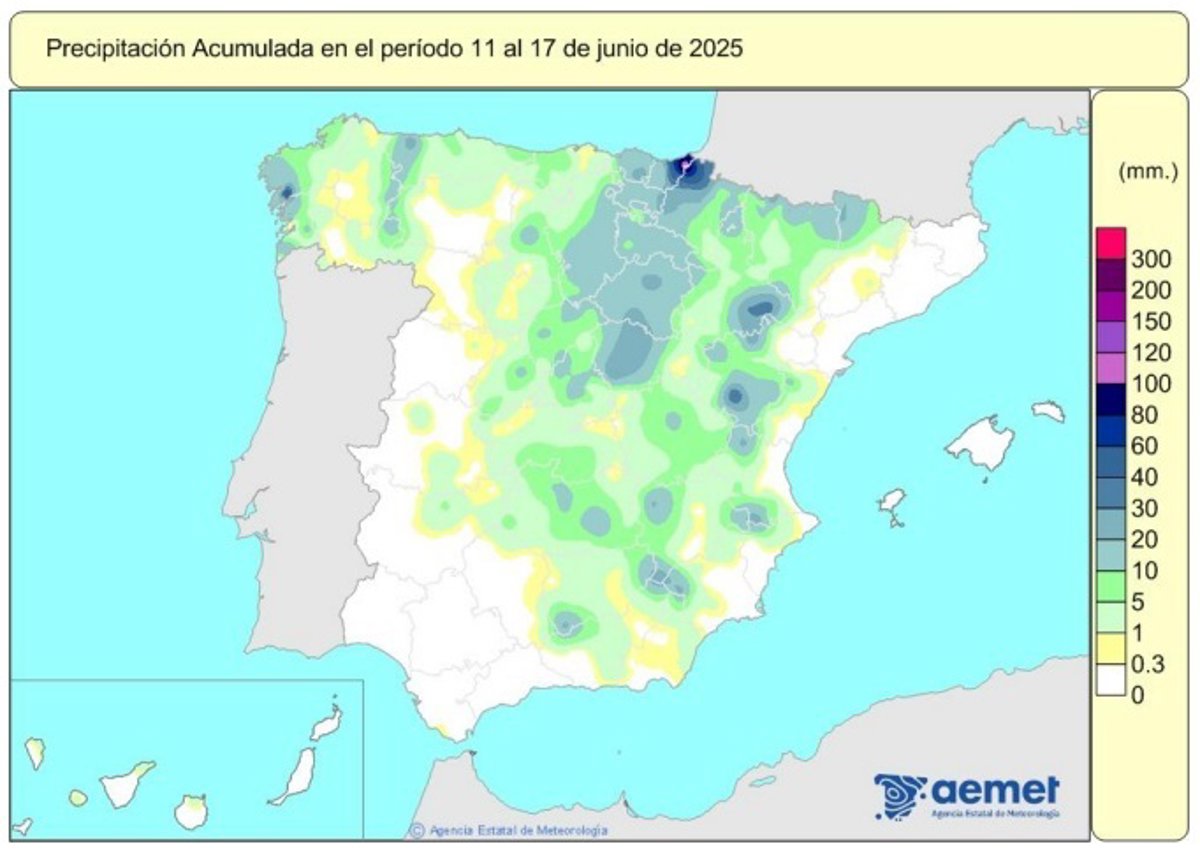 Las lluvias acumuladas en este año hidrológico ascienden a 615 l/m2, un 13% más de lo normal