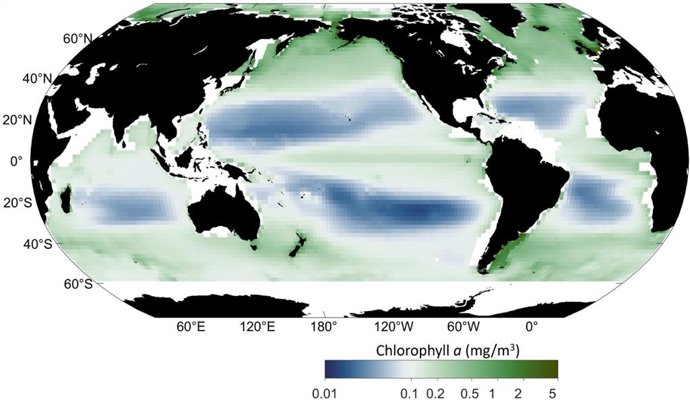 Este mapa ilustra a concentração média de clorofila a, um pigmento verde produzido por algas marinhas chamadas fitoplâncton, de 2003 a 2022.