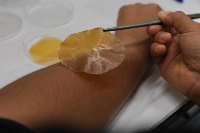 O material reage à luz solar e cria moléculas que impedem o crescimento de bactérias.