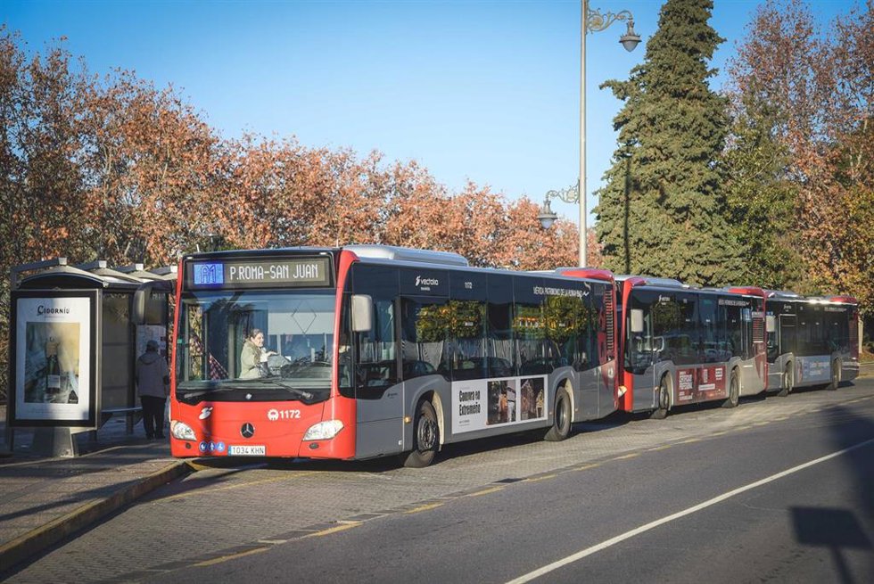 Archivo - Autobús urbano en Mérida