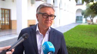 El portavoz de Vox en Andalucía, Manuel Gavira, en una atención a medios en el Parlamento andaluz.