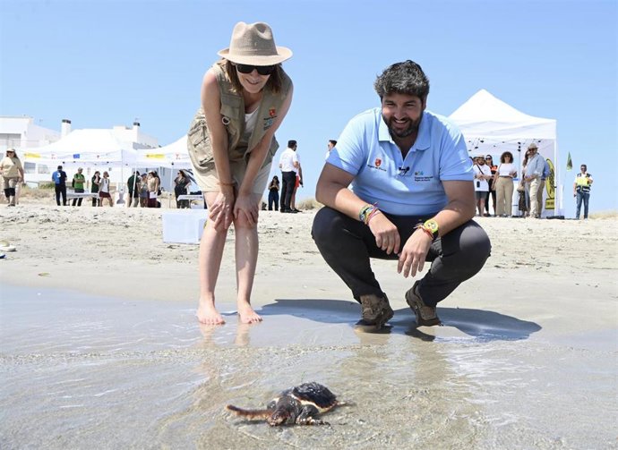 El presidente del Gobierno regional, Fernando López Miras, participa en la suelta de 30 ejemplares de tortuga boba en la Playa Ensenada del Esparto, en el kilómetro 15 de La Manga