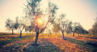 Extremadura