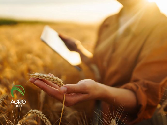 AgroUSD impulsa autonomía financiera en el campo