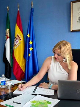 La consejera de Hacienda y Administración Pública, Elena Manzano