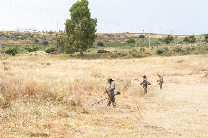 Operarios en labores de desbroce en Estepona