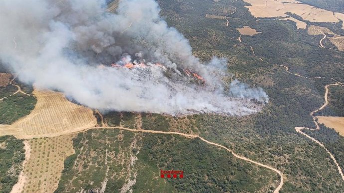 Un incendio de vegetación agrícola y forestal en Os de Balaguer (Lleida)