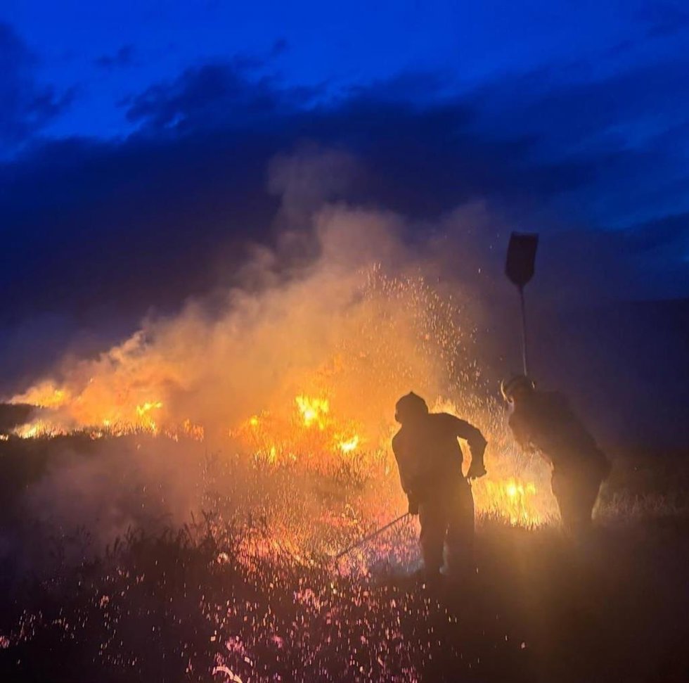 Archivo - Agenes del operativo contra incendios forestales en Cantabria