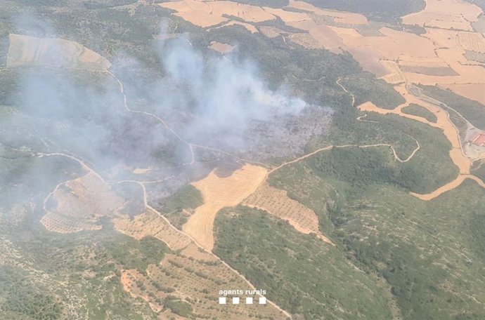Incendio en Os de Balaguer (Lleida)