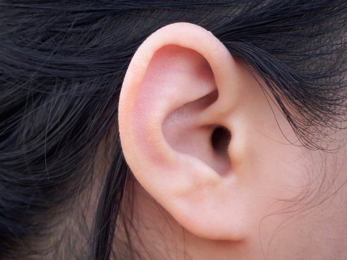 Archivo - Female human ear closeup