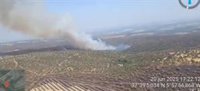 El incendio de Castilblanco (Sevilla) afecta a pasto y arbolado disperso y el Infoca trabaja para controlarlo