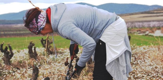 La presentación tendrá lugar el próximo 3 de julio de 2025.